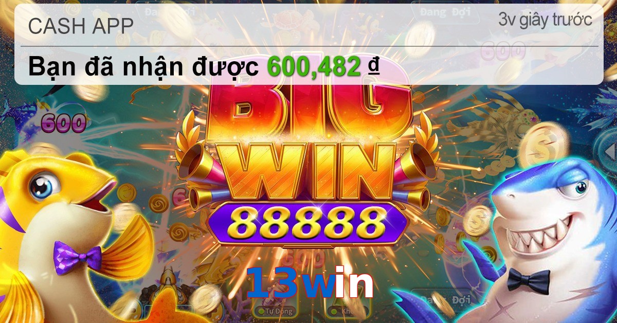 13win